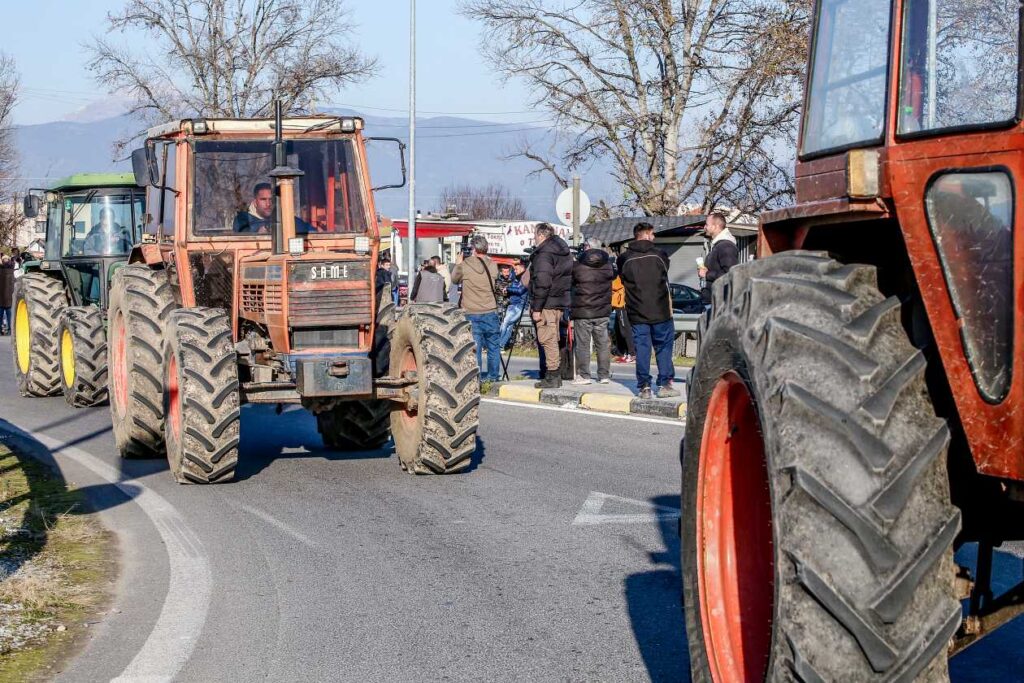 agrotes